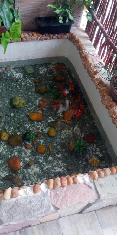 הוילה São Miguel dos Milagres Casa Em Milagres מראה חיצוני תמונה